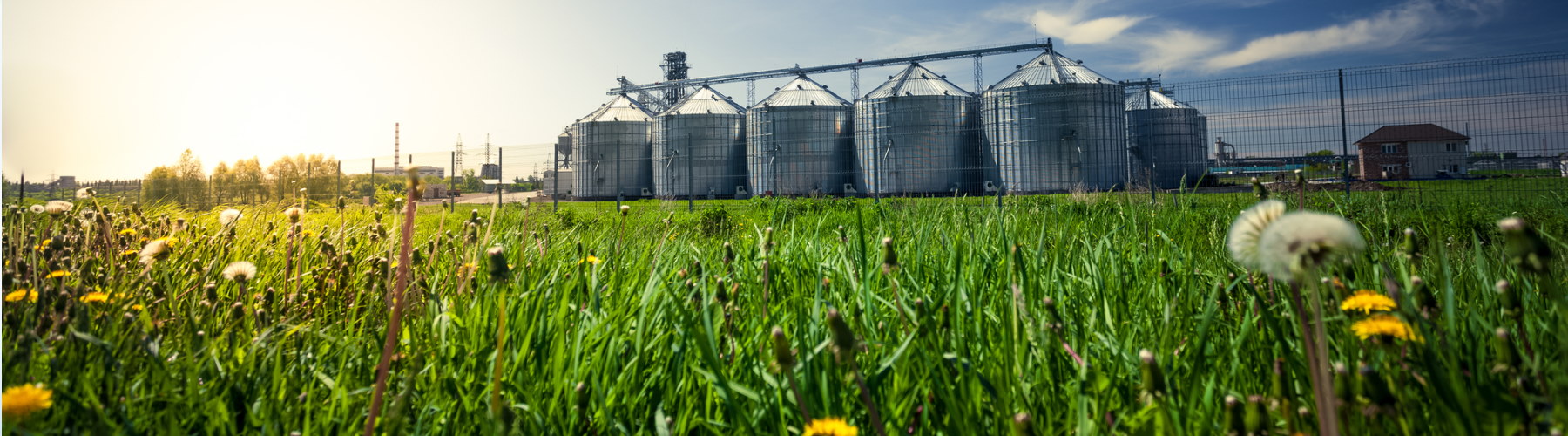 four people each holding a large puzzle piece towards each other